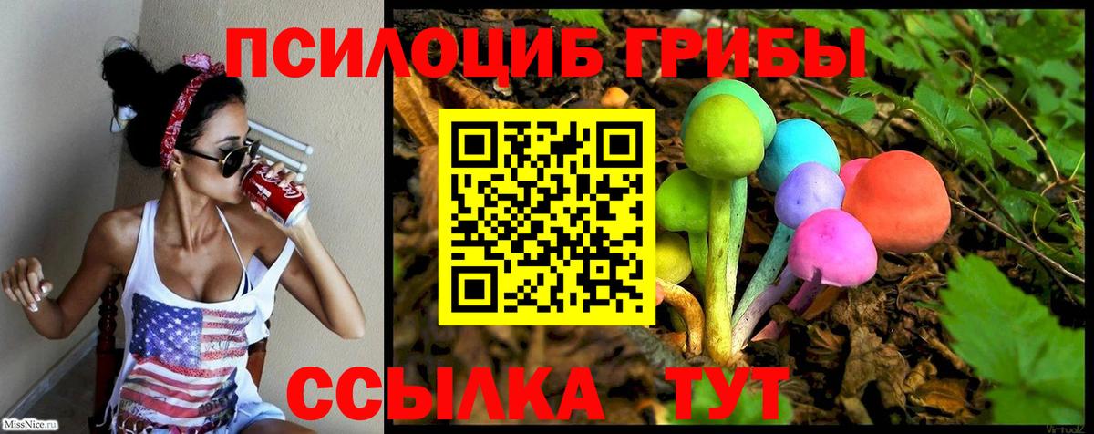 Ростов Великий  купить   Вход с VPN  Галлюциногенные грибы мицелий 